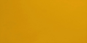 ID Yellow #162